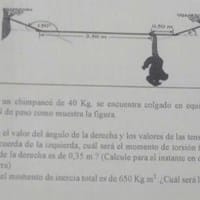 Como resuelvo este ejercicio de Física