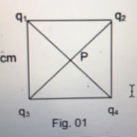 Guía de Ejercicios de Física sobre campo eléctrico.