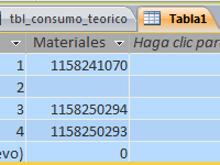 Necesito ingresar un dato con guión Access por formulario