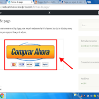 ¿Por qué no me lleva a la página del procesador de pagos de Pay Pal?