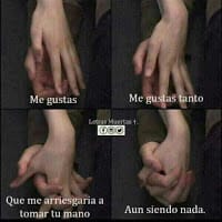 Dapy  Pady