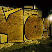ronny vera