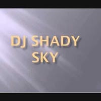 Shady Sky