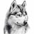 White Fang