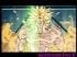 biobroly
