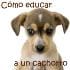 educachorros