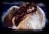 mayka_33