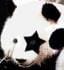 panda_star