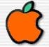 pzoilcore