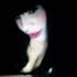 serena_gloop