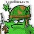 silen_bob