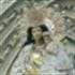 Maria Jose Rosell Contreras