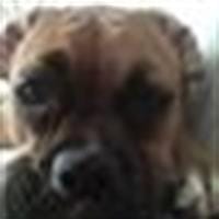 Chema Mix