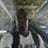 Djibril Traore