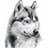 White Fang