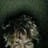 CRAXKER_