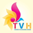 Thevisual house