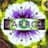 Barbol Music