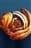 darkgames23