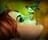 fairies_22