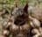 john_2p