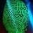 telnet01001
