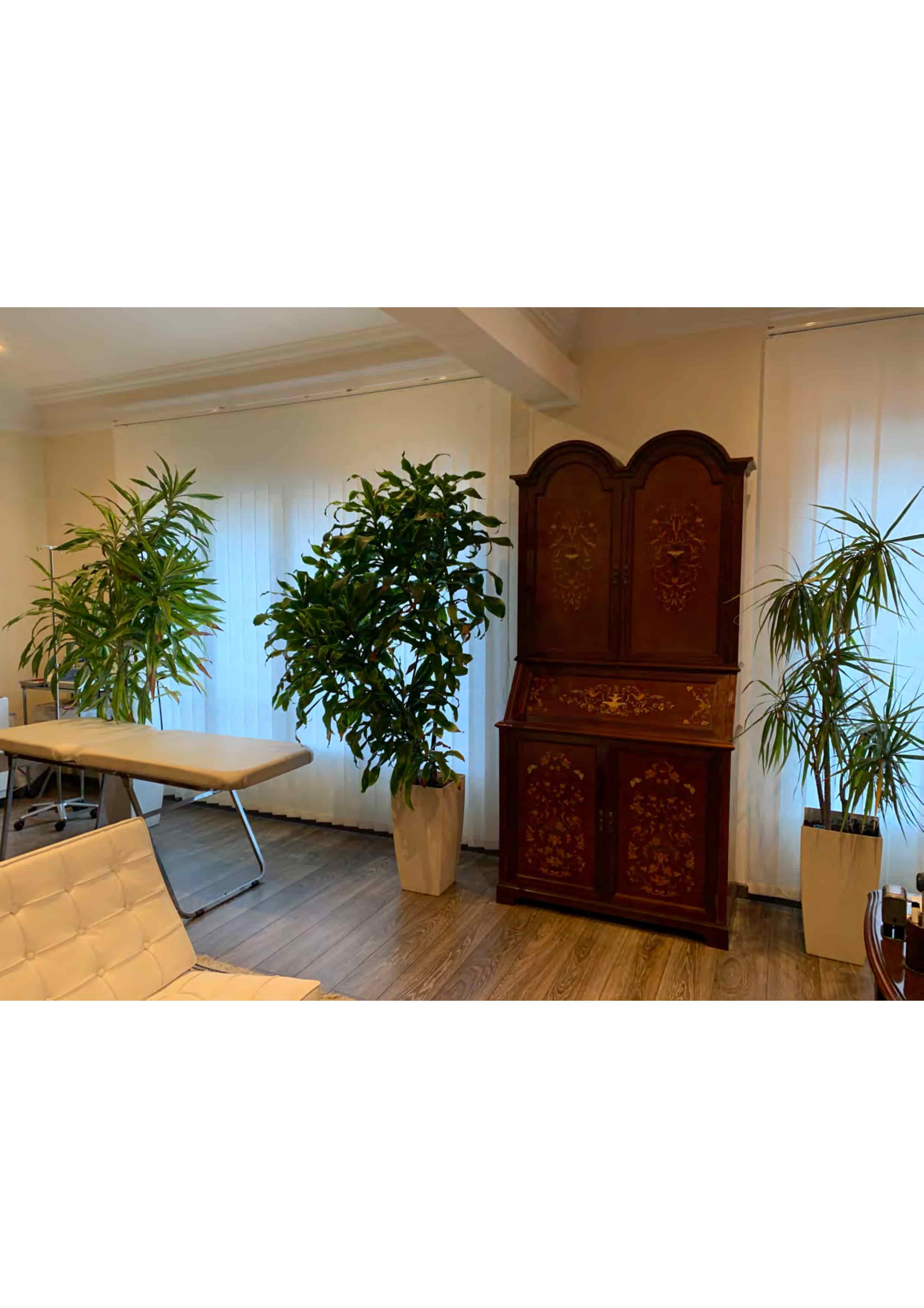 ¿Dónde se pone el abono en las jardineras de autoriego? - Jardinería