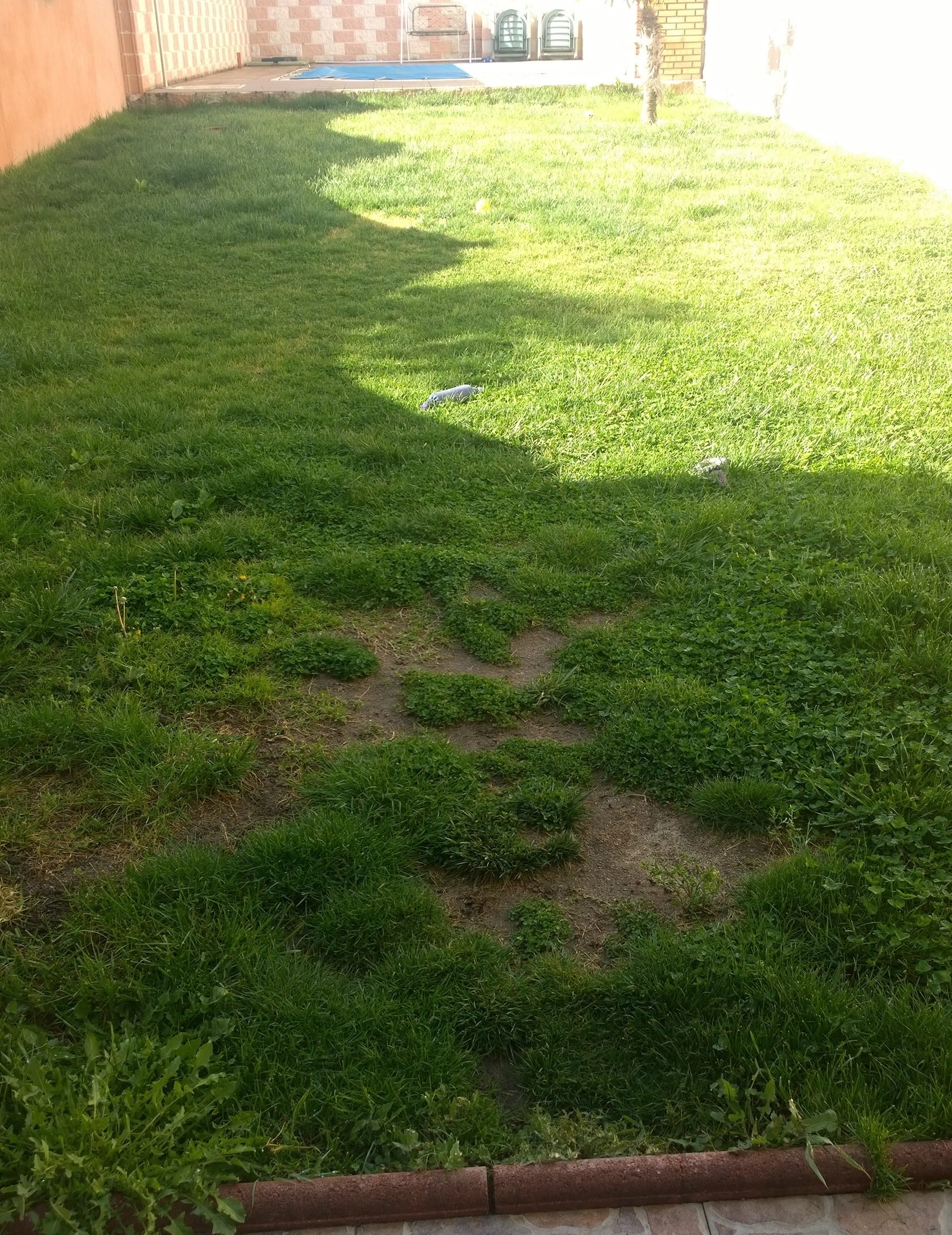 ¿Qué se puede poner encima césped? - Jardinería - Todoexpertos.com