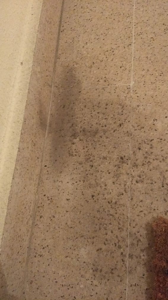 Reparar baldosa pasillo Portal vivienda - Albañilería - Todoexpertos.com