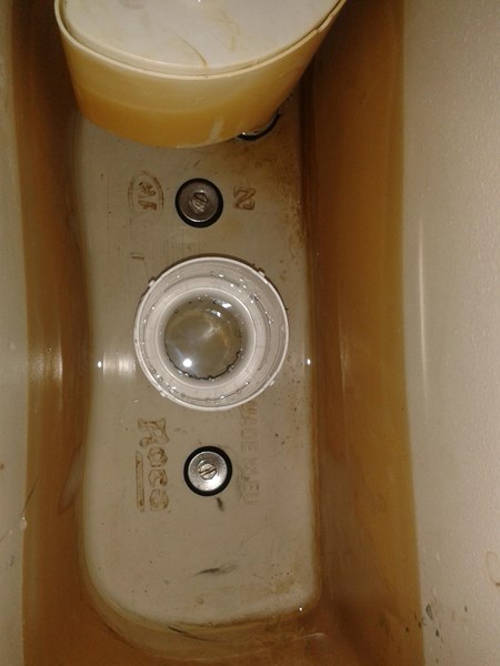 Cisterna con dos pulsadores roca dama. Reparar una fuga y cambiar junta del  descargador 
